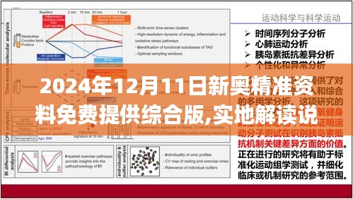 2025正版资料免费大全-详细解答、解释与落实