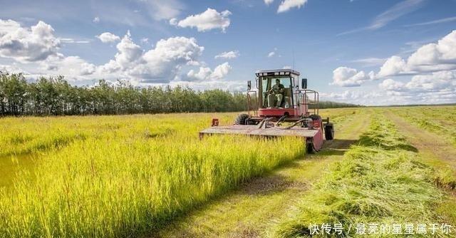 非洲确诊病例最新数据