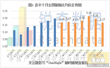 省生猪价格最新报道