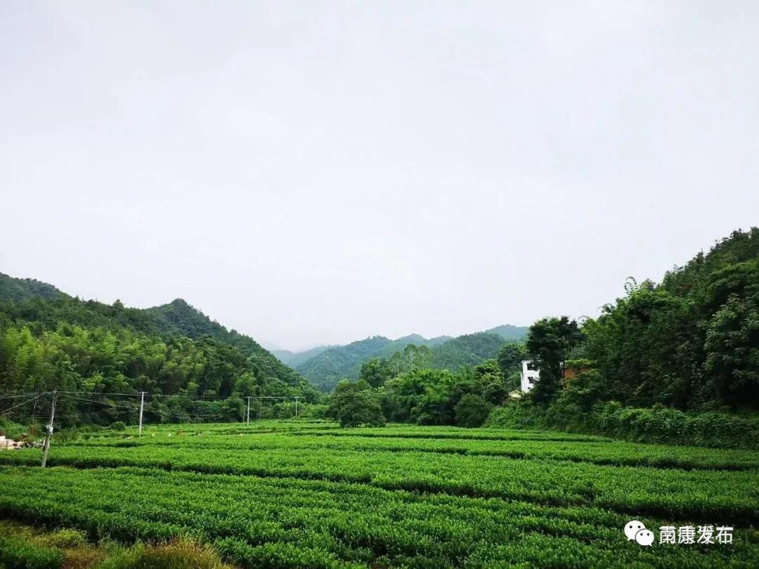 南康疫情肺炎最新情况