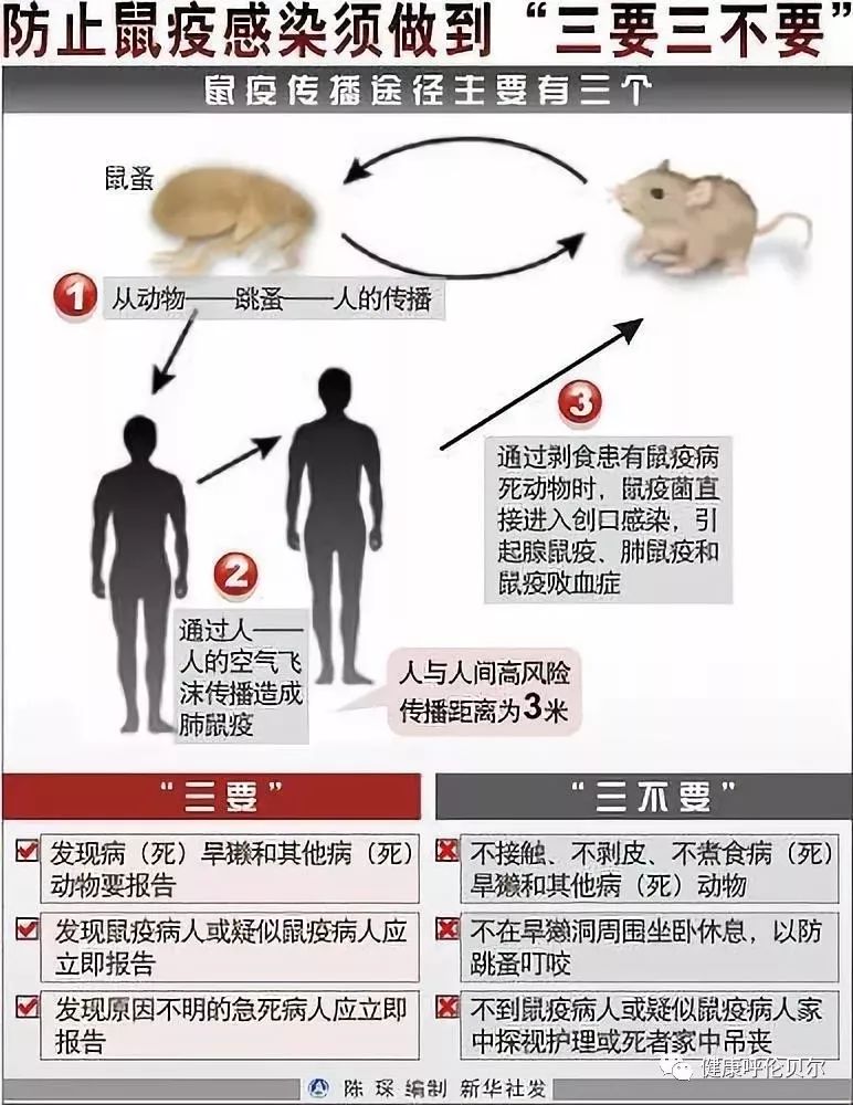 内蒙古最新鼠疫症状