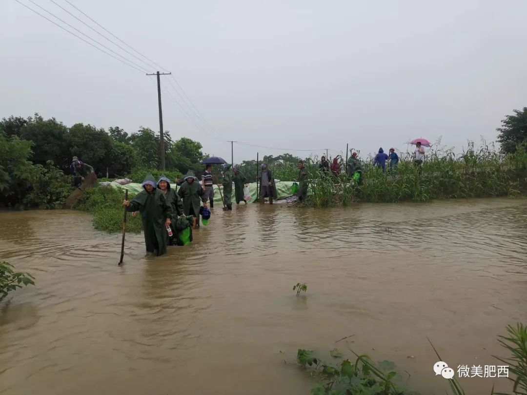 肥西暴雨最新消息